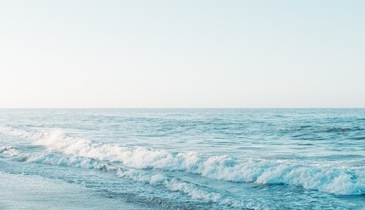 保護中: javascriptのテスト